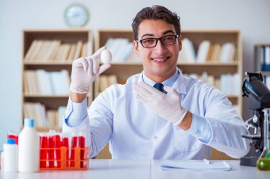 Bilim adamı organik meyve ve sebzeler üzerinde çalışıyor.