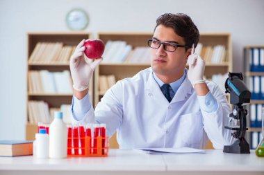 Bilim adamı organik meyve ve sebzeler üzerinde çalışıyor.