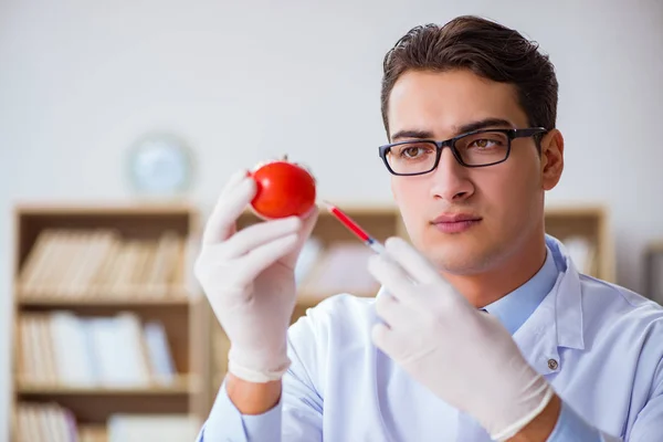 Wissenschaftler arbeiten an biologischem Obst und Gemüse — Stockfoto