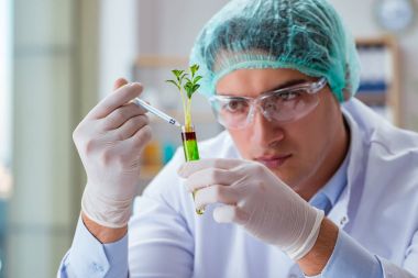 Laboratuvarda çalışan biyoteknoloji bilimcisi.