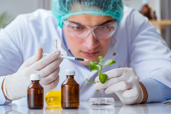Biotechnologie-Wissenschaftler im Labor — Stockfoto