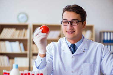 Bilim adamı organik meyve ve sebzeler üzerinde çalışıyor.