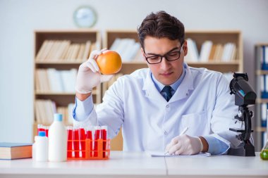 Bilim adamı organik meyve ve sebzeler üzerinde çalışıyor.