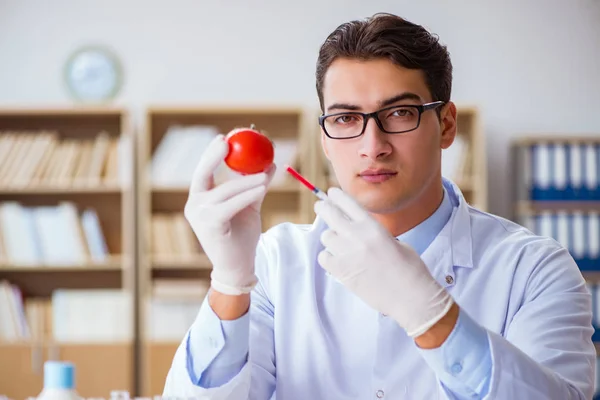 Wissenschaftler arbeiten an biologischem Obst und Gemüse — Stockfoto