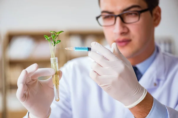 在实验室工作的生物技术科学家 — 图库照片