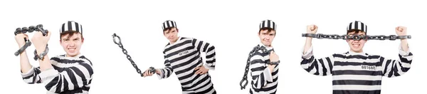 Funny prison inmate in concept — Stock Photo, Image