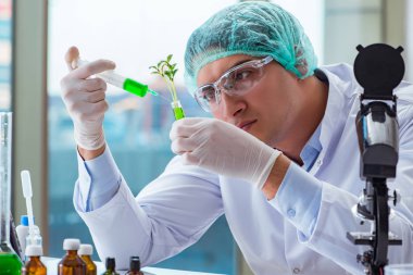 Laboratuvarda çalışan biyoteknoloji bilimcisi.