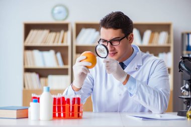 Bilim adamı organik meyve ve sebzeler üzerinde çalışıyor.