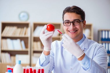 Bilim adamı organik meyve ve sebzeler üzerinde çalışıyor.