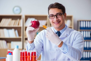 Bilim adamı organik meyve ve sebzeler üzerinde çalışıyor.