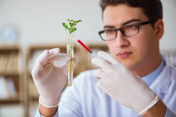 Biotechnologie wetenschapper werkzaam in het lab — Stockfoto