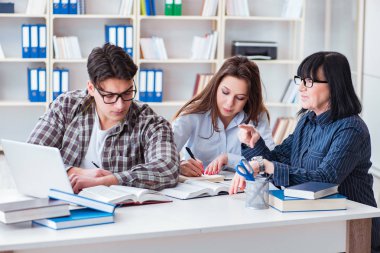 Özel ders sırasında genç öğrenci ve öğretmen.