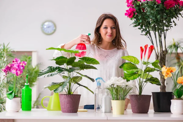 Jeune femme s'occupant des plantes à la maison — Photo