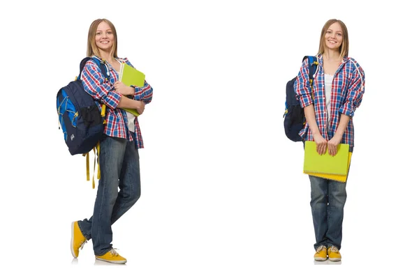 Collage of young female student on white — Stock Photo, Image