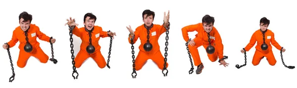 Young inmate with chains isolated on the white — Stock Photo, Image