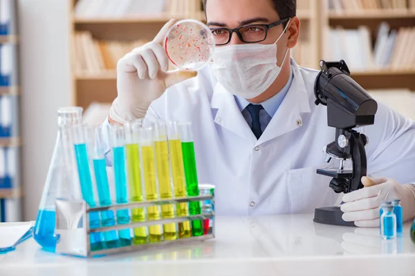 Γιατρός που μελετά βακτήρια του ιού στο εργαστήριο — Φωτογραφία Αρχείου