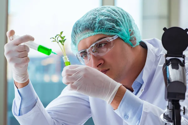 Biotechnologický vědec pracující v laboratoři — Stock fotografie