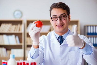 Bilim adamı organik meyve ve sebzeler üzerinde çalışıyor.