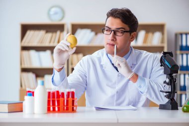 Bilim adamı organik meyve ve sebzeler üzerinde çalışıyor.