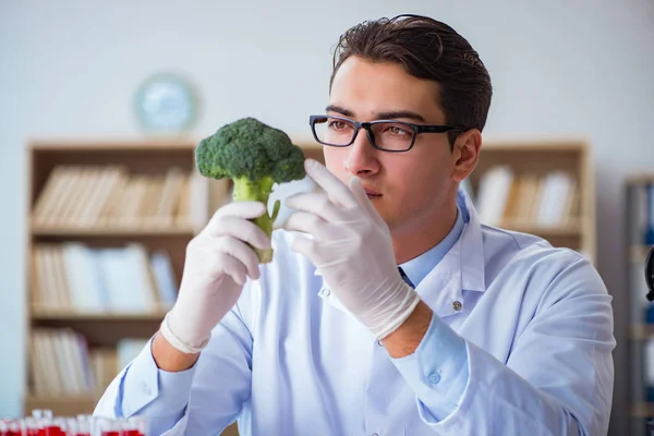 Scienziato che si occupa di frutta e verdura biologica — Foto Stock
