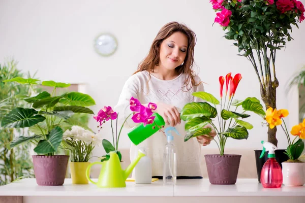 Jeune femme s'occupant des plantes à la maison — Photo