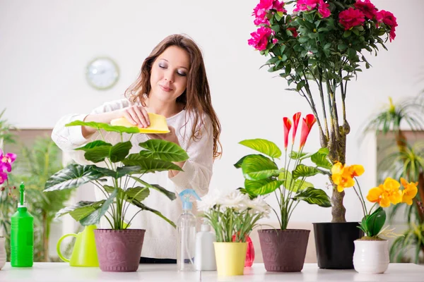 Νεαρή γυναίκα που φροντίζει τα φυτά στο σπίτι — Φωτογραφία Αρχείου