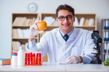 Bilim adamı organik meyve ve sebzeler üzerinde çalışıyor.