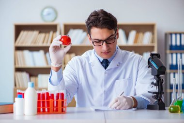 Bilim adamı organik meyve ve sebzeler üzerinde çalışıyor.