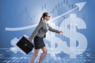 Amerikan Doları Konseptinde İşkadını