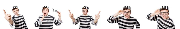 Funny prison inmate in concept — Stock Photo, Image