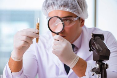 Besin uzmanı gıda ürünlerini laboratuarda test ediyor.