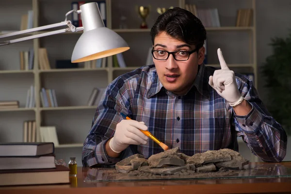 Archeologist working late night in office — Stock Photo, Image