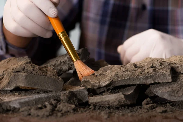 Archäologe arbeitet spät in der Nacht im Büro — Stockfoto