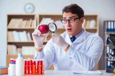 Bilim adamı organik meyve ve sebzeler üzerinde çalışıyor.