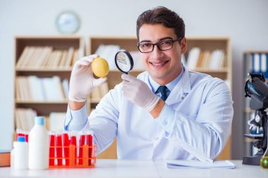 Bilim adamı organik meyve ve sebzeler üzerinde çalışıyor.