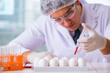 Besin uzmanı gıda ürünlerini laboratuarda test ediyor.