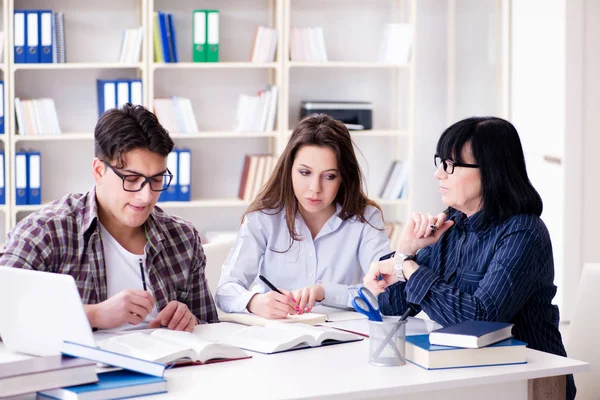 Young student and teacher during tutoring lesson — Stock Photo, Image