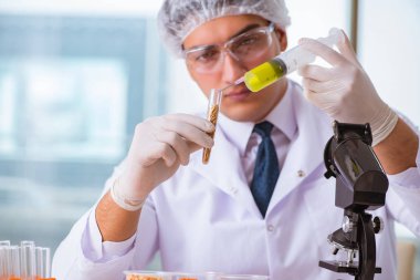 Besin uzmanı gıda ürünlerini laboratuarda test ediyor.