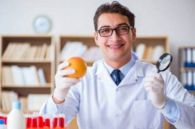 Bilim adamı organik meyve ve sebzeler üzerinde çalışıyor.