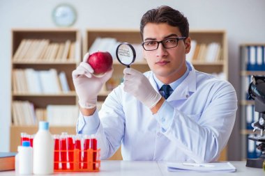 Bilim adamı organik meyve ve sebzeler üzerinde çalışıyor.