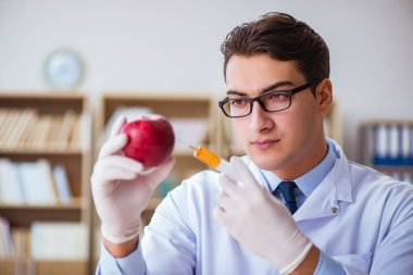 Bilim adamı organik meyve ve sebzeler üzerinde çalışıyor.