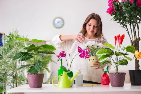 집에서 식물을 돌보고 있는 젊은 여자 — 스톡 사진