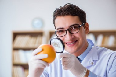 Bilim adamı organik meyve ve sebzeler üzerinde çalışıyor.