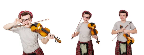 Écossais drôle avec violon sur blanc — Photo