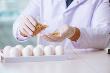 Besin uzmanı gıda ürünlerini laboratuarda test ediyor.