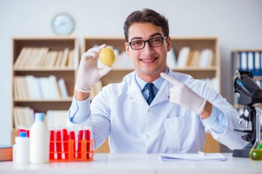 Bilim adamı organik meyve ve sebzeler üzerinde çalışıyor.