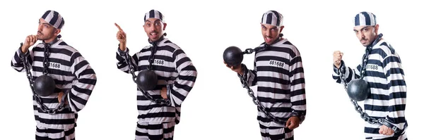 Prison inmate isolated on the white — Stock Photo, Image