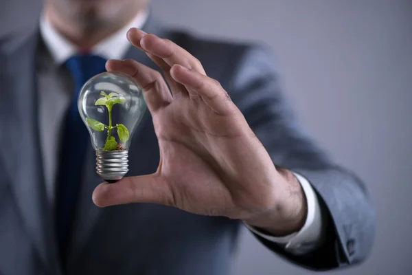 Businessman holding lamp in green environment concept — Stock Photo, Image