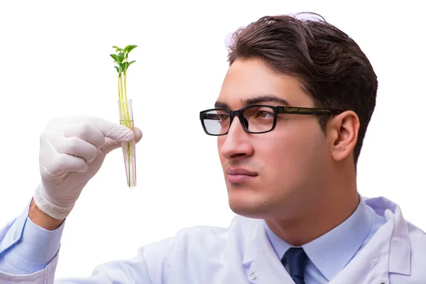 Вчений з зеленим розсадою в склі ізольований на білому — стокове фото
