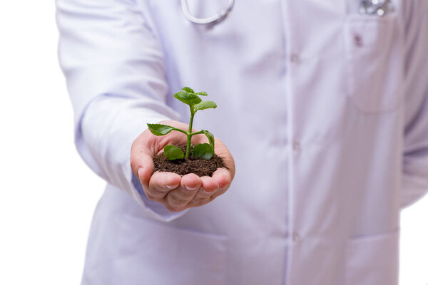 Scientist with green seedling in glass isolated on white